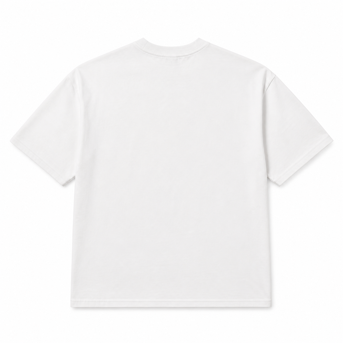 ORIGNAL S&S STUDIO T — Back
